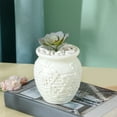 thumbnail image 1 of Specollect Clearance 1Pcs Unbreakable Vase for Flowers,Plastic Vase for Home Decor,Living Room,Table, 1 of 5