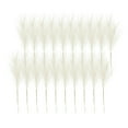 thumbnail image 1 of Specollect Clearance 20Pcs Faux Pampas Grass Decor 17.71in/45cm Tall Artificial Large Pompous Pompas Floral Fluffy Fake Plants Floor Vase Filler for Wedding Kitchen Home Boho Decorations, 1 of 7