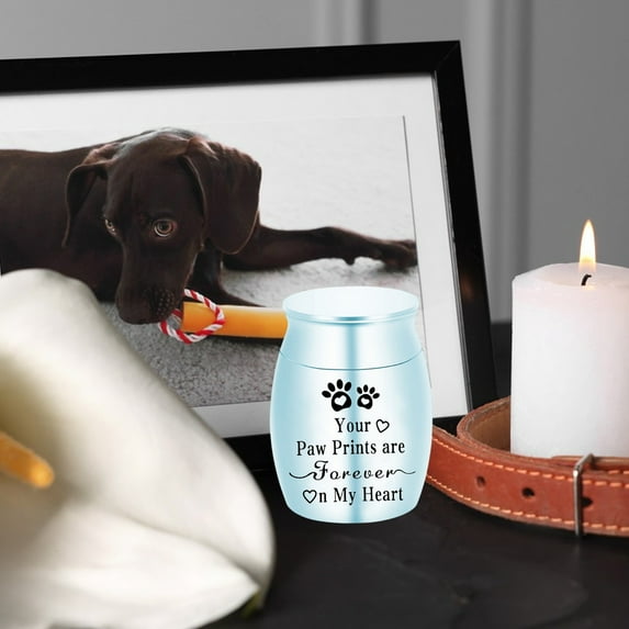 Specollect Clearance 2Pcs Dogs Cats Ashes Pet Urn Pet Cremation Memorial Urn for Loss of Dog or Cats Engraved Pet Funeral Urns (pet urn)