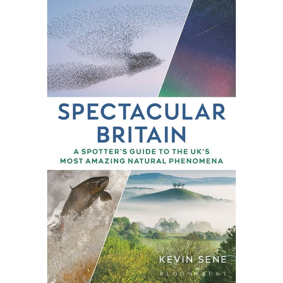 Spectacular Britain : A spotter's guide to the UKs most amazing natural phenomena (Paperback)