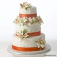 thumbnail image 1 of Spectacular Stargazer Cake Kit, 1 of 1