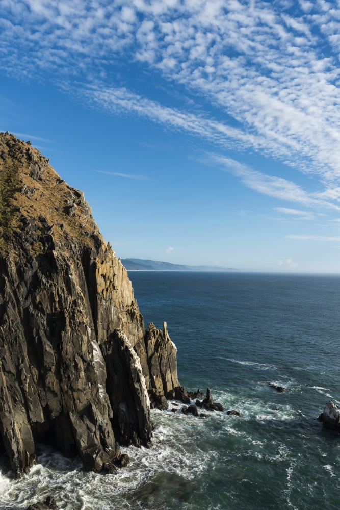 Spectacular sea cliffs at Oswald West State Park Manzanita Oregon United States of America Canvas Art - Robert L Potts Design Pics (12 x 19)