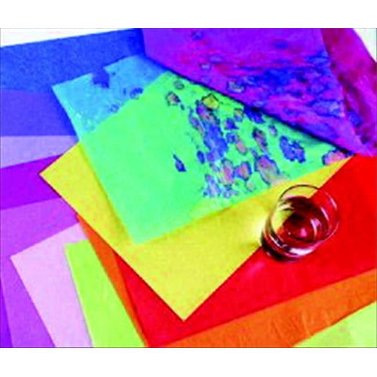 Spectra 006222 Deluxe Bleeding Recyclable Art Tissue Paper, Orange - 24 Sheets