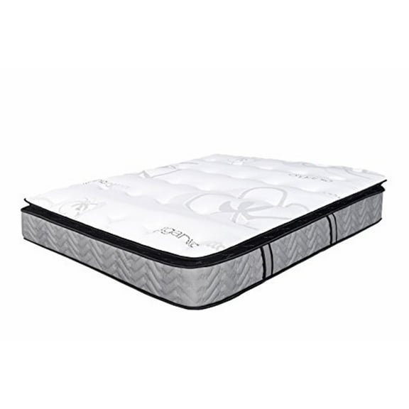 Spectra Mattress SS571004F 13 in. Orthopedic Organic Medium Plush Memory Foam Knife Edge Pillow Top Pocketed Coil - Full