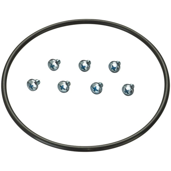 Spectra Premium LO19 Fuel Tank O-Ring