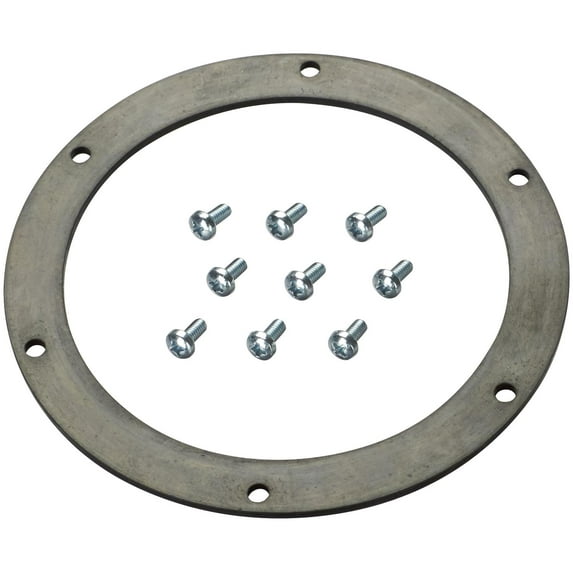 Spectra Premium LO39 Fuel Tank O-Ring