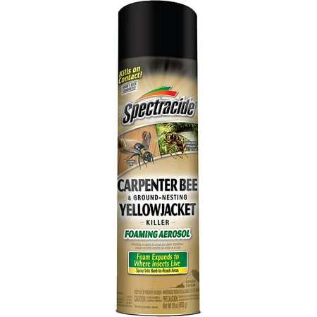 Spectracide Carpenter Bee And Ground-Nesting Yellowjacket Killer Foaming Aerosol 16 Ounces, Expands To Where Insects Live