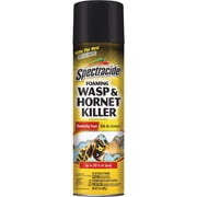 Spectracide Foaming Wasp & Hornet Killer - Pack of 10