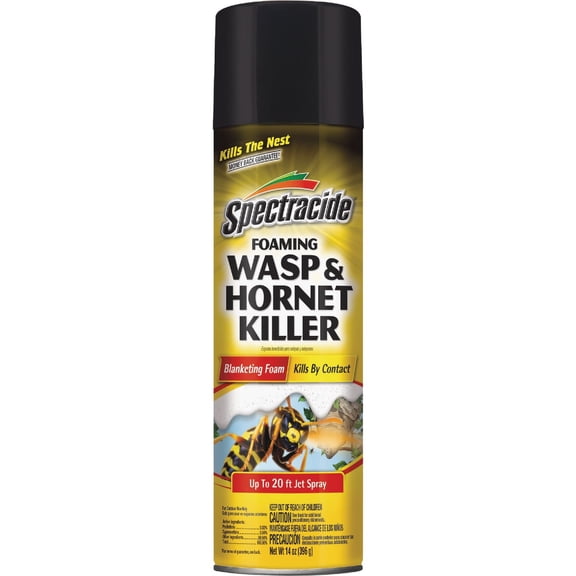 Spectracide Foaming Wasp & Hornet Killer - Pack of 12