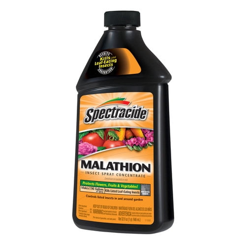 Spec Insect Spectracide Malathion Insect Spray Concentrate, 32 Ounces - Walmart ...