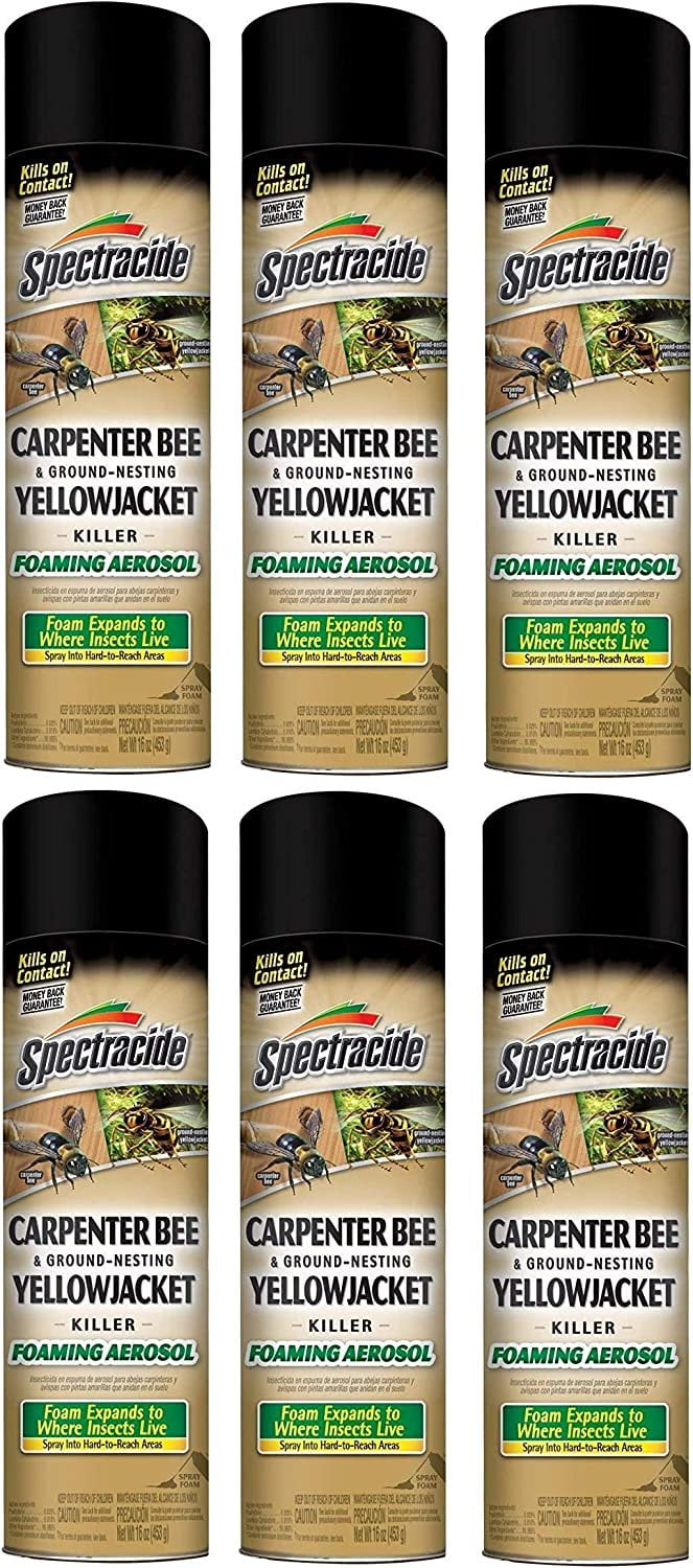 Aerosol Carpenter Bee And Ground Nesting Yellow Jacket Aerosol Carpenter Bee And Ground Nesting Yellow Jacket