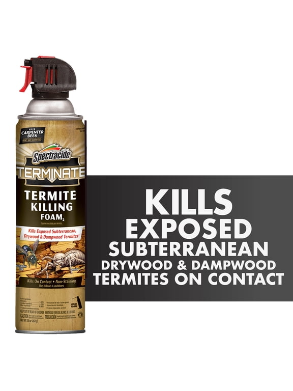 Terminate Termite Killing Foam Aerosol, for Indoor and Outdoor Use, 16 Ounces