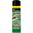 thumbnail image 1 of Spectracide Wasp & Hornet Killer Spray, Kills Wasps, Hornets and Yellow Jackets, Sprays Up To 27 Feet, 20 Ounce, 1 of 9