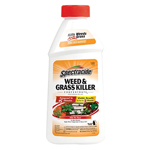 Spectracide Weed And Grass Killer Concentrate 16 Ounces, Use On Patios