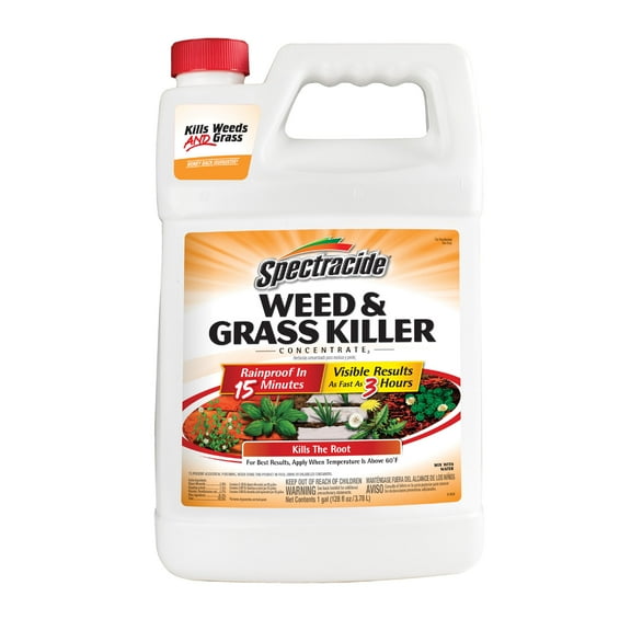 Spectracide Weed & Grass Killer Concentrate, 1 Gallon