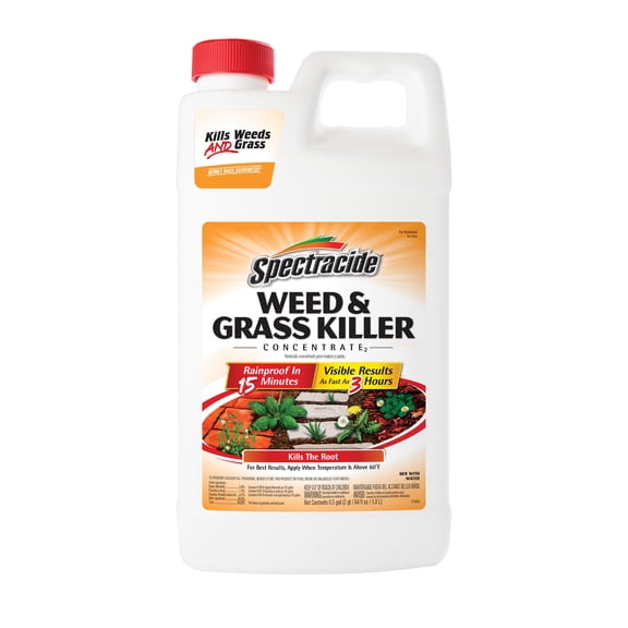 Spectracide Weed & Grass Killer Concentrate, Use on Patios, Driveways, and Walkways, 64 fl oz