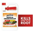 thumbnail image 1 of Spectracide Weed & Grass Killer, Use On Patios, Walkways and Driveways, 1 gal., 1 of 13