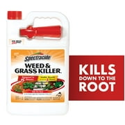 Spectracide Weed & Grass Killer, Ready-to-Use, Kills Weeds and Grasses Down To The Root, 1 Gal.