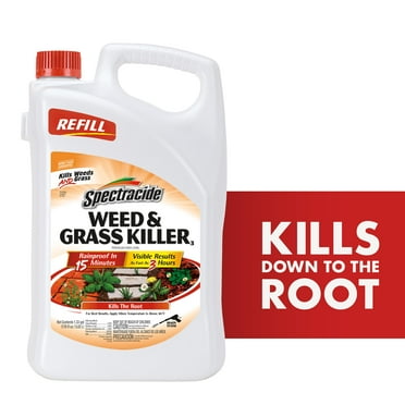 Spectracide Weed & Grass Killer Refill, for Driveways, Walkways, Trees and Flower Beds, 1.3 gal.