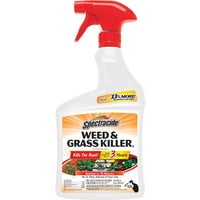 Spectrum Brands H&G Spectracide Weed & Grass Killer - Pack of 10