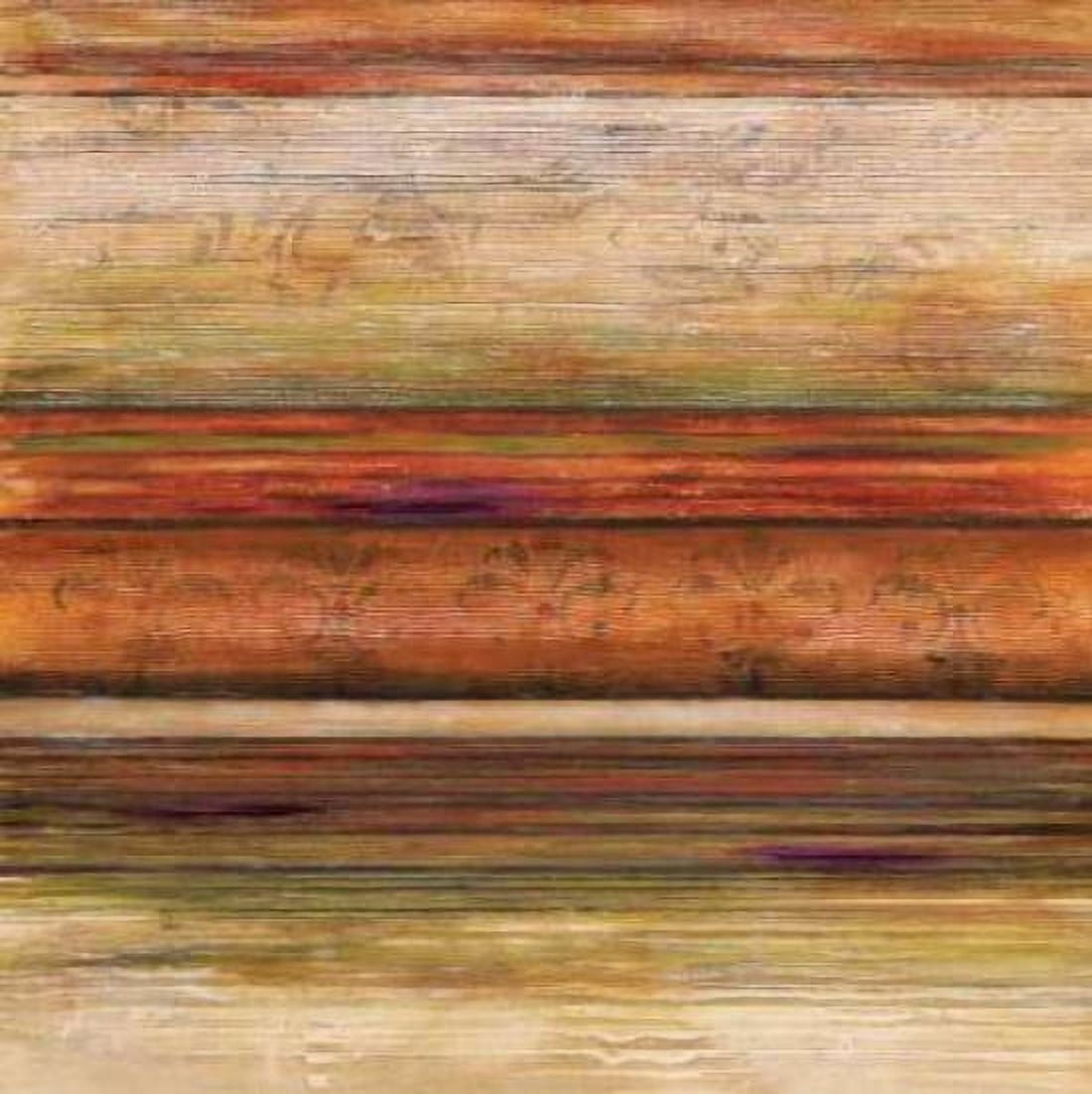 Spectrum II Canvas Art - Michael Brey (24 x 24)