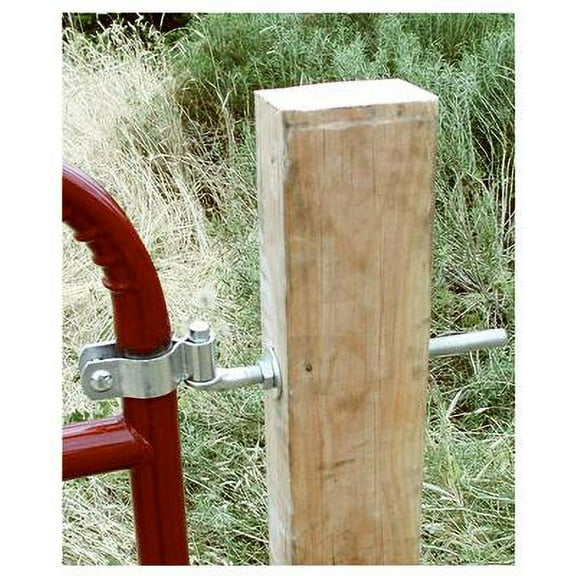 SpeeCo S16100900 Round Tube Gate Hinge Kit, 2", Each