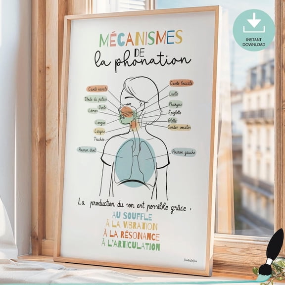 Speech Therapy Poster Mechanisms Of Phonation, Medical Art In French, Anatomy, Wall Decor School Counselor, Physical Therapist- Wall Art Print, 16x24 UNFRAMED