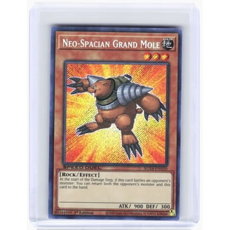 Neo Spacian Trap Cards Neo Spacian Trap Cards