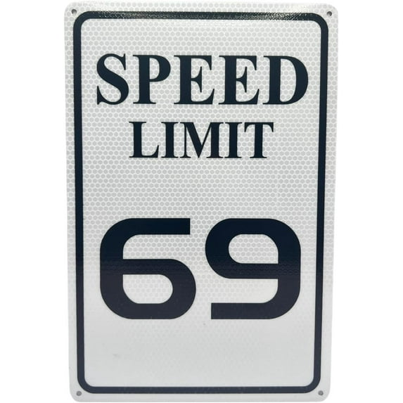 Speed Limit 10 MPH Sign, Slow Down Sign, Engineer Grade Reflective Sheeting, Rust Free Aluminum, Weather Resistant, Waterproof, Fade Resistant, 12" x 8" (White-10 MPH)
