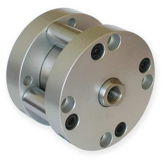 Speedaire Air Cyl., 1 1/16 in Bore Dia, 1/8 in NPT 5YCT3