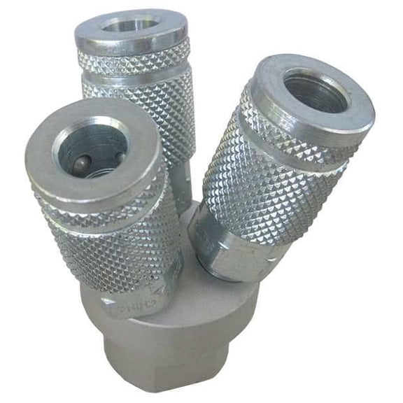 Speedaire Air Gun Manifold,1/4 FNPT,Automotive 22YK98