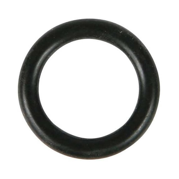 Speedaire O-Ring, PN21AA629G PN21AA629G