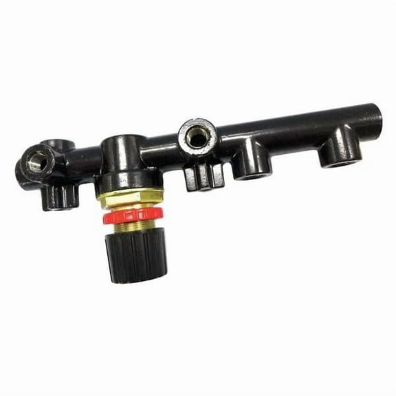 Speedaire, PN22N076G, Regulator With Manifold CA1