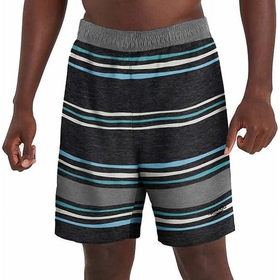 Speedo Mens Hydro Volley Swim Shorts (Grey, Large)