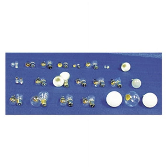 Speedway 1383-2CD #1383 Automotive Bulb 2 Pack