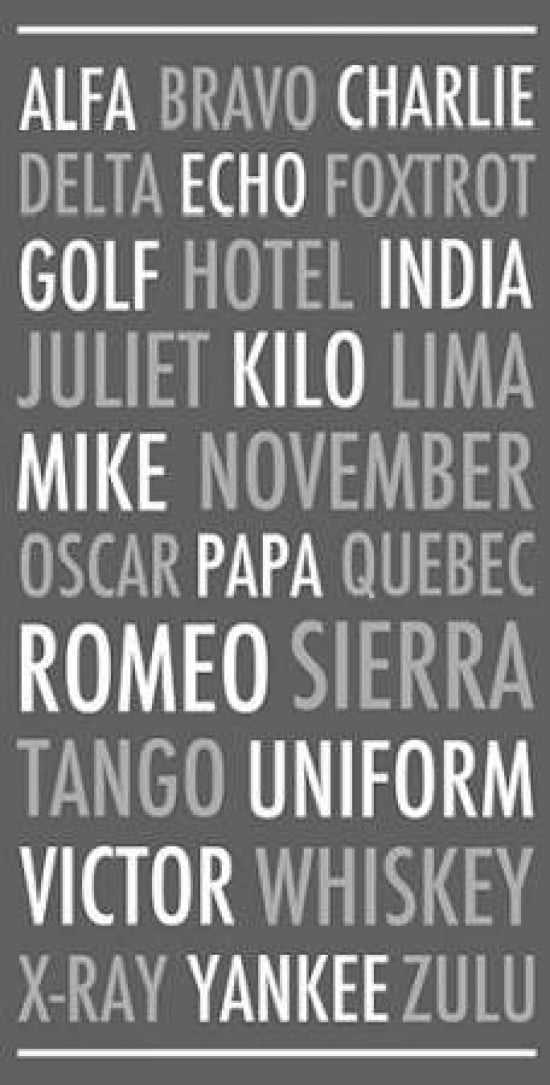 Spelling Alphabet Grey Canvas Art - Anna Quach (10 x 20)