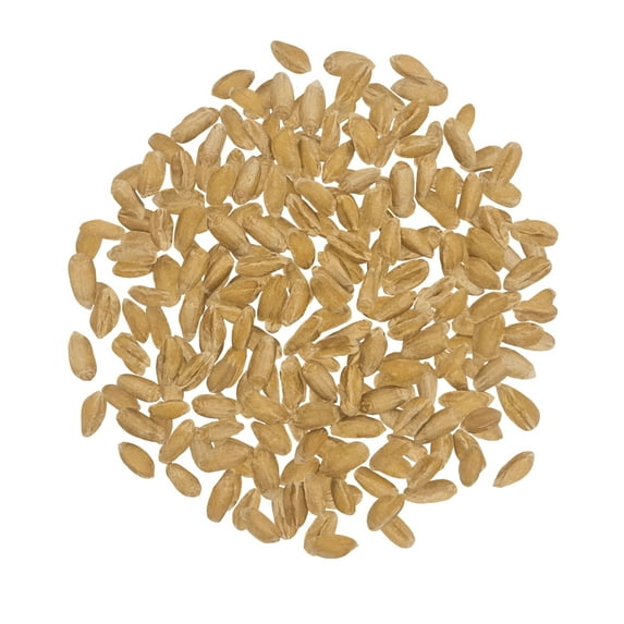 Spelt Berries | 18 LBS | Washington State Grown | Non-GMO | Non-Irradiated