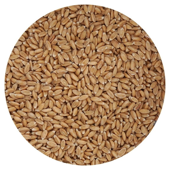 Spelt Berries, 4 Pound Bulk Bag, Hampton Distribution
