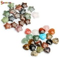 thumbnail image 1 of Spencer 10Pcs Tumled Healing Crystal Pocket Stone Mini Puffy Heart Assorted Rock Collection, 1 of 8
