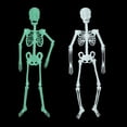 thumbnail image 1 of Spencer 2 Pack 5-foot Halloween Skeleton Decoration Life Size Realistic Luminous Poseable Human Skeleton Prop Indoor/Outdoor Yard Party Hanging Decor, 1 of 7