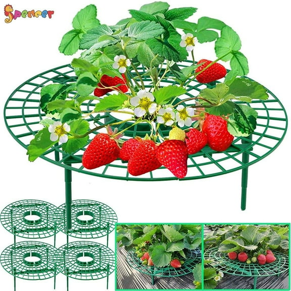 Spencer 2 Pack Strawberry Supports Stand Balcony Vegetable Rack Plant Climbing Vine Garden Stand Keeping Fruit Elevated to Avoid Ground Rot