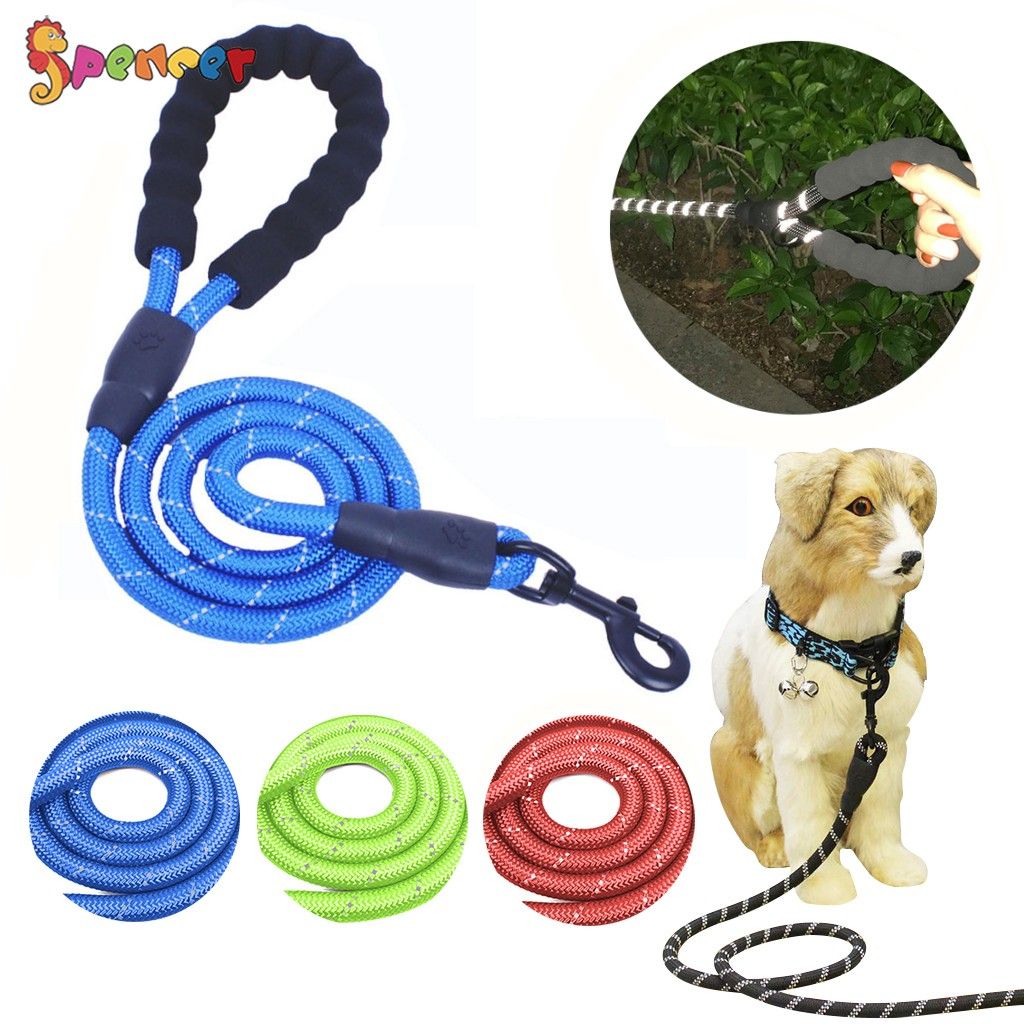 Spencer 5ft Long Braided Reflective Rope Dog Leash, Heavy Duty Training ...