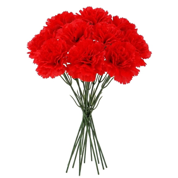 Spencer 8 Pcs Faux Flowers Long Stem Carnation Artificial Flowers for Mother's Day, Home Decor, Bouquet Arrangement