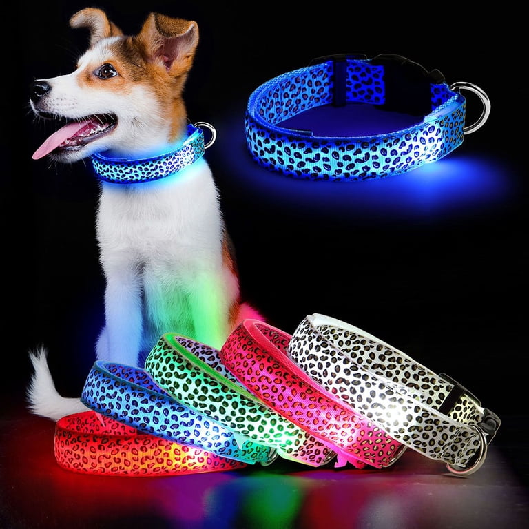 Spencer LED Light Up Dog Collar for Night Safety, USB Rechargeable