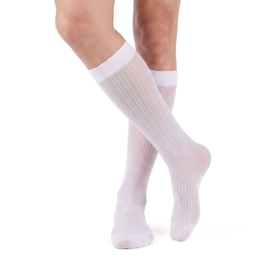 Spencer Mens Silk Socks 2 Pack, Ultra Thin Sheer Dress Socks for Men Casual Nylon Business Crew Socks