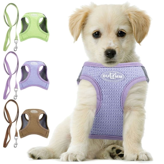 Spencer New No Pull Dog Harness No Choke Reflective Pet Vest Adjustable Breathable Pet Harnesses and Leash Set for Small Dogs Cats Walking, Green, M