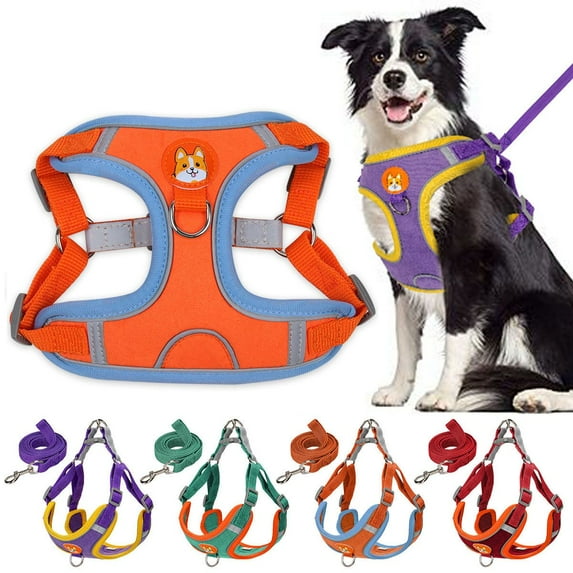 Spencer No Pull Dog Harness and Leash Adjustable Reflective No-Choke Pet Vest Harness Nylon Easy Control for Small Medium Large Dogs (L, Orange)