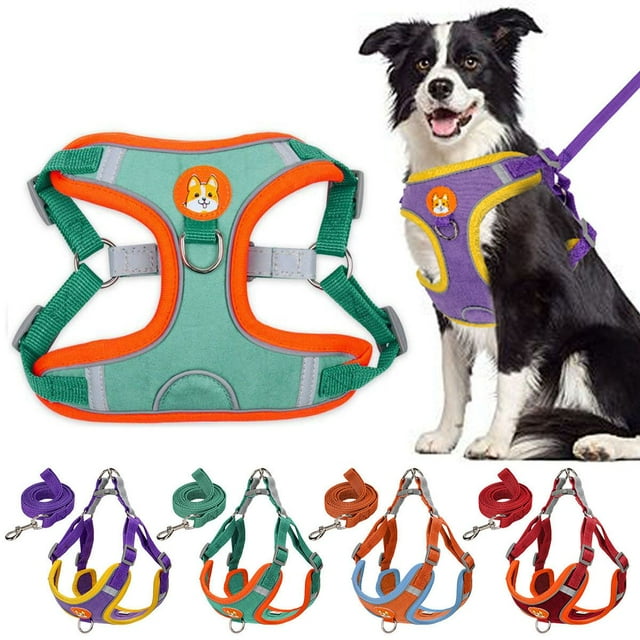 Spencer No Pull Dog Harness and Leash Adjustable Reflective No-Choke Pet Vest Harness Nylon Easy Control for Small Medium Large Dogs （M, Blue）