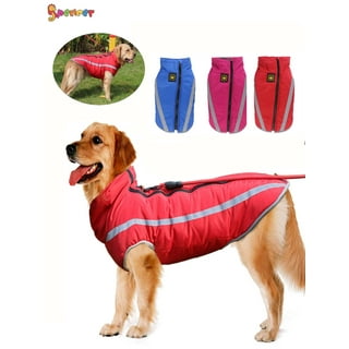 Walmart hotsell dog coats