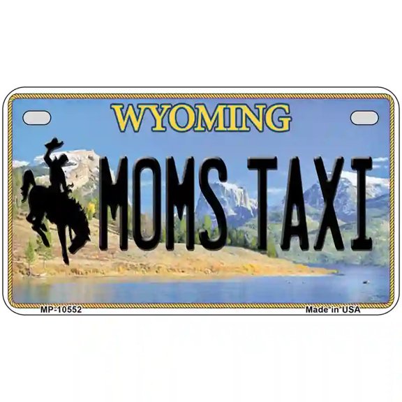 Spending Inheritance Metal Novelty License Plate 7" x 4" Motorcycle (MP)